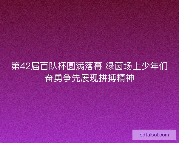第42届百队杯圆满落幕 绿茵场上少年们奋勇争先展现拼搏精神